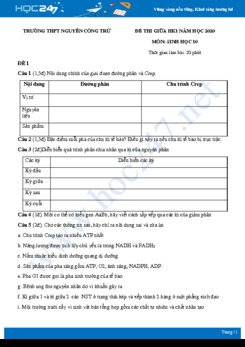 2 Đề thi thi giữa HK1 môn Sinh học 10 năm 2020 - Trường THPT Nguyễn Công Trứ dạng tự luận