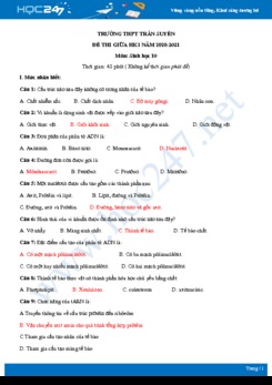 Đề thi giữa HK1 môn Sinh học 10 năm 2020 - Trường THPT Trần Suyền phân theo mức độ có đáp án