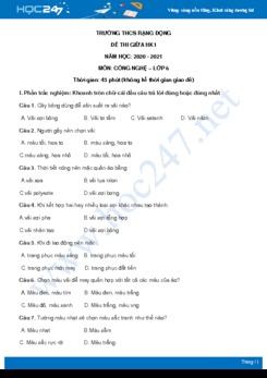 Đề thi giữa HK1 môn Công nghệ 6 năm 2020 - Trường THCS Rạng Đông có đáp án