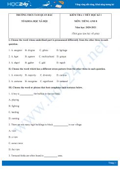 Bộ 2 đề kiểm tra 1 tiết HK1 môn Tiếng Anh 8 năm 2020 có đáp án trường THCS Tam Quan Bắc