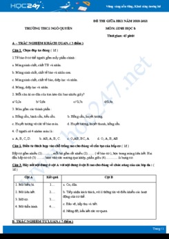 Đề thi giữa HK1 môn Sinh học 8 năm 2020 - Trường THCS Ngô Quyền có đáp án