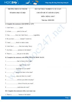 Bài tập trắc nghiệm và tự luận chuyên đề từ chỉ số lượng trong Tiếng Anh năm 2020 có đáp án