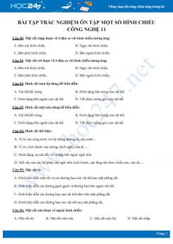 Bài tập trắc nghiệm ôn tập một số hình chiếu Công nghệ 11 có đáp án