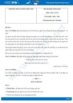Bộ 3 đề thi học sinh giỏi môn Ngữ văn 8 năm 2020 Trường THCS Lương Thế Vinh
