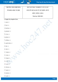 Bài tập trắc nghiệm và tự luận chuyên đề danh từ số nhiều, số ít trong Tiếng Anh năm 2020 có đáp án