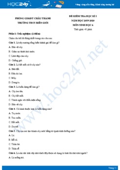 Đề thi HK1 môn Sinh học 6 năm 2019 Trường THCS Biên Giới có đáp án