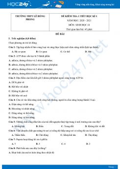 Đề kiểm tra 1 tiết HK1 có đáp án môn Sinh học 10 năm 2020 Trường THPT Lê Hồng Phong