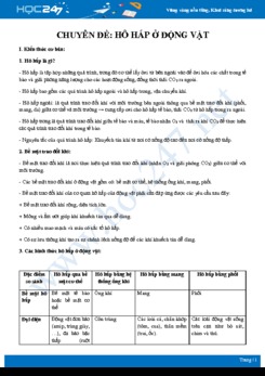 Luyện tập chuyên đề hô hấp ở động vật Sinh học 11 năm 2020