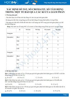 Phương pháp giải dạng bài xác định NST, cromatic, tâm động trong tế bào qua các kì  giảm phân Sinh 10