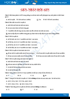 30 Câu hỏi trắc nghiệm ôn tập gen, nhân đôi ADN Sinh học 12 mức độ nhận biết có đáp án