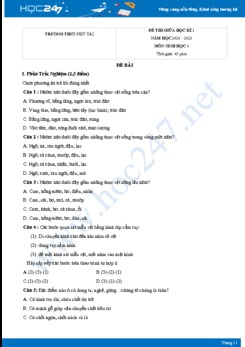 Đề thi giữa HK1 môn Sinh học 6 năm 2020 Trường THCS Phú Tài có đáp án