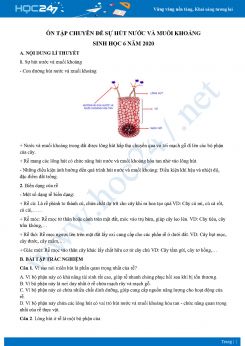 Ôn tập chuyên đề sự hút nước và muối khoáng Sinh học 6 năm 2020 có đáp án