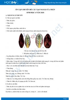 Ôn tập chuyên đề cấu tạo ngoài của thân Sinh học 6 năm 2020 có đáp án