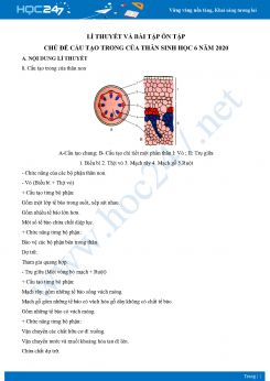 Lí thuyết và bài tập ôn tập chủ đề Cấu tạo trong của thân Sinh học 6 năm 2020 có đáp án