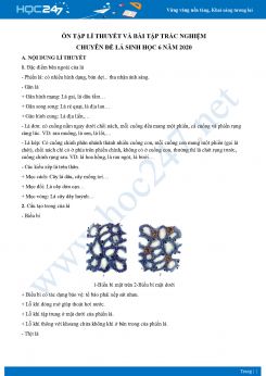 Ôn tập lí thuyết và bài tập trắc nghiệm chuyên đề lá Sinh học 6 năm 2020 có đáp án