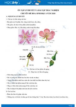 Ôn tập lí thuyết và bài tập trắc nghiệm chuyên đề Hoa Sinh học 6 năm 2020 có đáp án