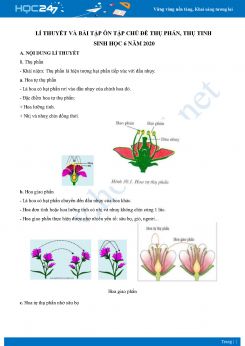 Lí thuyết và bài tập ôn tập chủ đề thụ phấn, thụ tinh Sinh học 6 năm 2020 có đáp án