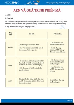 Kiến thức trọng tâm và một số lưu ý khi ôn tập ARN và quá trình phiên mã Sinh học 12