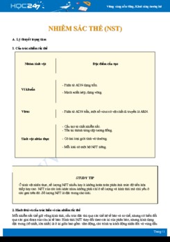 Lý thuyết và bài tập trắc nghiệm tổng ôn chuyên đề nhiễm sắc thể Sinh học 12