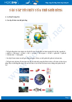 Lý thuyết và bài tập ôn tập chủ đề các cấp tổ chức của thế giới sống Sinh học 10
