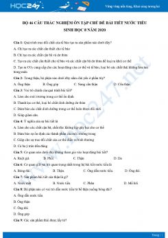 Bộ 46 câu trắc nghiệm ôn tập chủ đề bài tiết nước tiểu Sinh học 8 năm 2020 có đáp án