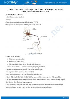 Lí thuyết và bài tập ôn tập chuyên đề giới thiệu chung hệ thần kinh Sinh học 8 năm 2020 có đáp án