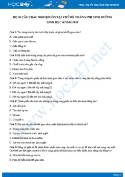 Bộ 30 câu trắc nghiệm ôn tập chủ đề thần kinh sinh dưỡng Sinh học 8 năm 2020 có đáp án