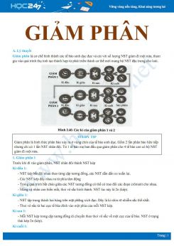 Lý thuyết và bài tập trắc nghiệm ôn tập quá trình Giảm phân Sinh học 10