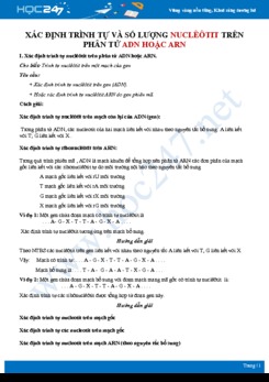 Phương pháp giải dạng bài tập xác định trình tự và số lượng nucleotit trên ADN hoặc ARN Sinh 12