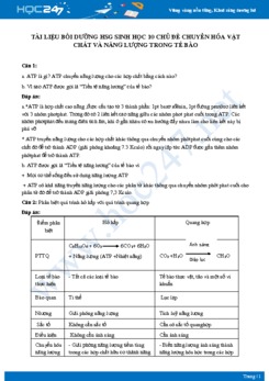 Tài liệu bồi dưỡng HSG chủ đề Chuyển hóa vật chất và năng lượng trong tế bào Sinh học 10 có đáp án
