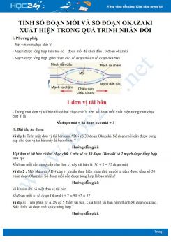 Luyện tập xác định số đoạn mồi và đoạn Okazaki xuất hiện trong quá trình nhân đôi Sinh học 12