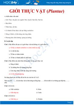 Tổng ôn các kiến thức trọng tâm Giới Thực vật (Plantae) Sinh học 10