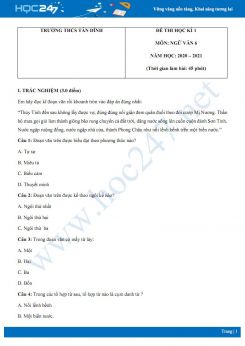 Đề thi Học kì 1 môn Ngữ văn 6 năm 2020 Trường THCS Tân Dĩnh