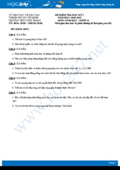 Đề thi HK1 môn Sinh học 11 năm 2020 - Trường THPT Linh Trung có đáp án