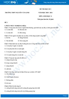 Bộ 2 đề thi HK1 môn Sinh học 11 năm 2020 - Trường THPT Nguyễn Văn Linh có đáp án