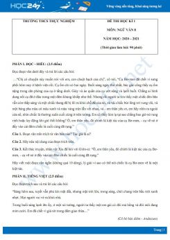 Đề thi Học kì 1 môn Ngữ văn 8 năm 2020 Trường THCS Thực Nghiệm