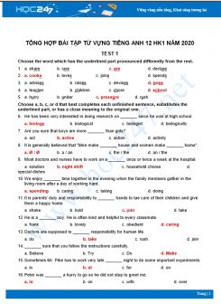 Tổng hợp bài tập từ vựng ôn tập HK1 môn Tiếng Anh lớp 12 năm 2020