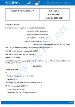 Đề thi HK1 môn Ngữ văn 11 năm 2020 Trường THPT Thống Nhất A có đáp án