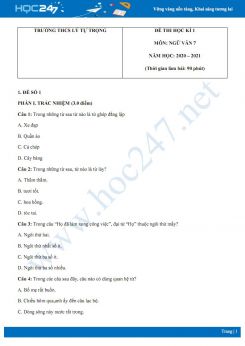 Bộ 2 đề thi Học kì 1 môn Ngữ văn 7 năm 2020 Trường THCS Lý Tự Trọng