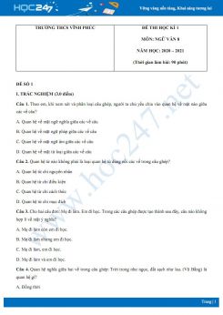 Bộ 2 đề thi Học kì 1 môn Ngữ văn 8 năm 2020 Trường THCS Vĩnh Phúc