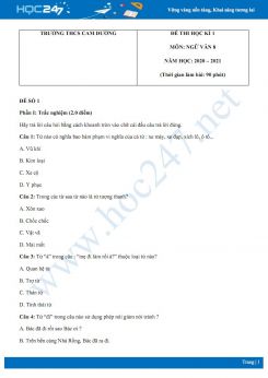 Bộ 3 đề thi Học kì 1 môn Ngữ văn 8 năm 2020 Trường THCS Cam Đường