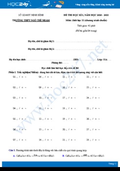 Đề thi HK1 môn Sinh học 11 năm 2020 - Trường THPT Ngô Thì Nhậm có đáp án