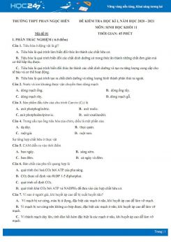 Bộ 4 đề thi HK1 môn Sinh học 11 năm 2020 - Trường THPT Phan Ngọc Hiển có đáp án