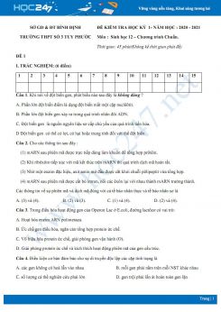 Bộ 3 đề thi HK1 môn Sinh học 12 năm 2020 chương trình cơ bản - Trường THPT Số 3 Tuy Phước