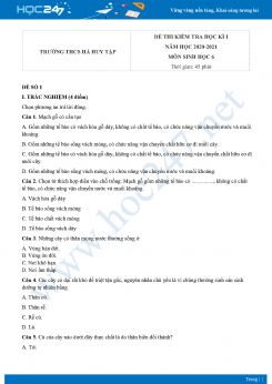 Bộ 3 đề thi HK1 môn Sinh học 6 năm 2020 Trường THCS Hà Huy Tập có đáp án