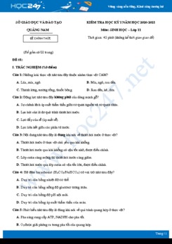 Bộ 3 đề thi HK1 môn Sinh học 11 năm 2020 dạng bán trắc nghiệm - Sở GD&ĐT Quảng Nam