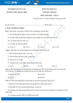 Đề thi HK1 môn Sinh học 11 năm 2020 - Trường THPT Hoàng Diệu, Quảng Nam