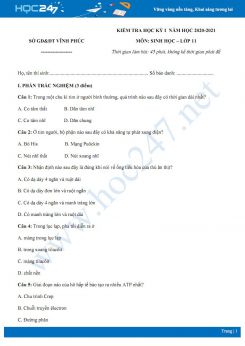 Hướng dẫn giải chi tiết đề thi HK1 môn Sinh học 11 năm 2020 - Sở GD&ĐT Vĩnh Phúc