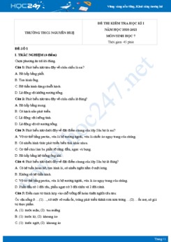 Bộ 3 đề thi HK1 môn Sinh học 7 năm 2020 Trường THCS Nguyễn Huệ có đáp án