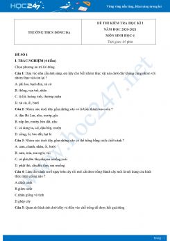 Bộ 3 đề thi HK1 môn Sinh học 6 năm 2020 Trường THCS Đống Đa có đáp án